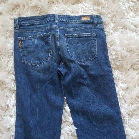 Paige - Picture 5 of 5